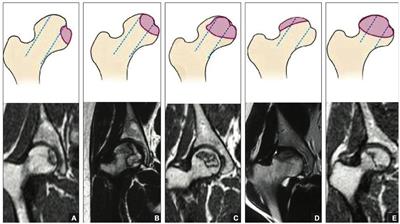 An application and exploration of entrustable professional activities in Chinese orthopaedic postgraduate residents training: a pilot study